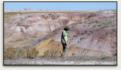 Pat searches for Prairie Agate, Jasper and related minerals in the hills of South Dakota.